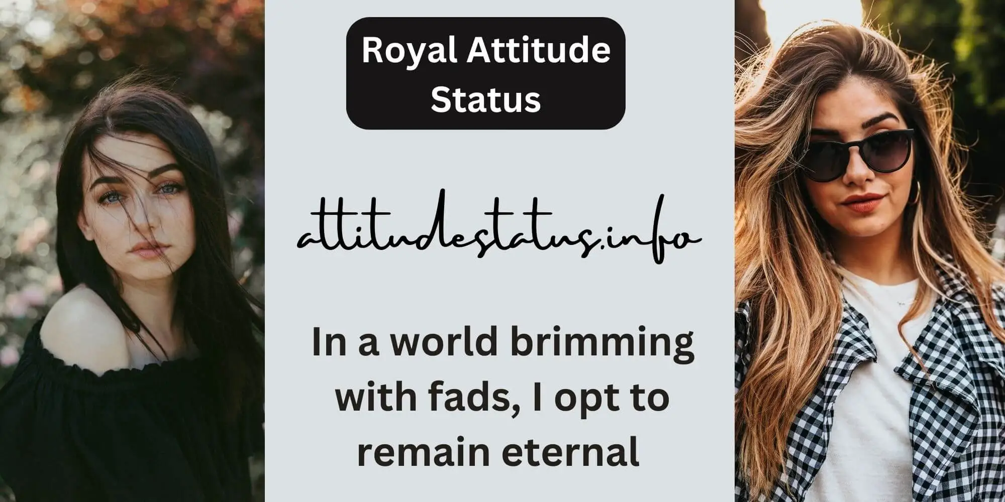 Royal Attitude Status