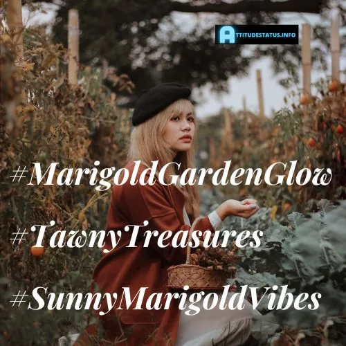 Marigold Flower Hashtags For Instagram